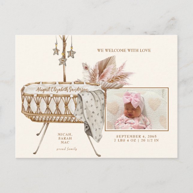 Vintage Bassinet Pampas Photo Birth Announcement Postcard (Front)