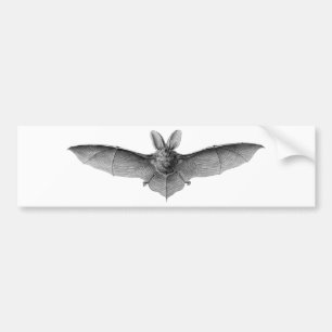 Vintage Bat Bumper Sticker