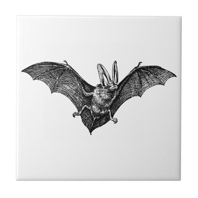 Vintage Bat Gothic Vampire Tile (Front)