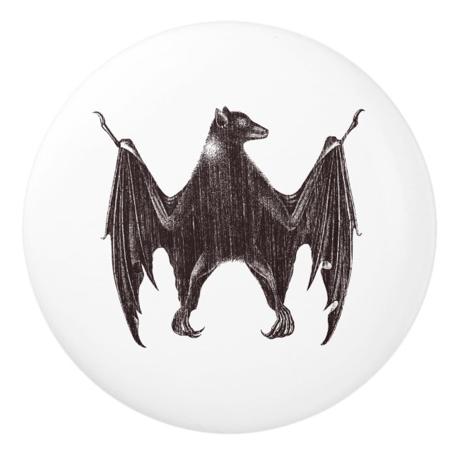 Vintage Bat Illustration Ceramic Knob (Front)