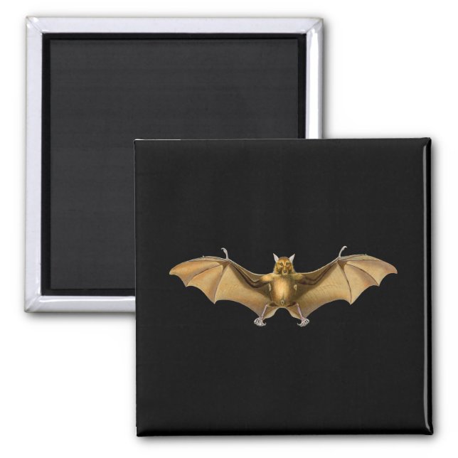 Vintage bat Lover gift Magnet (Front)