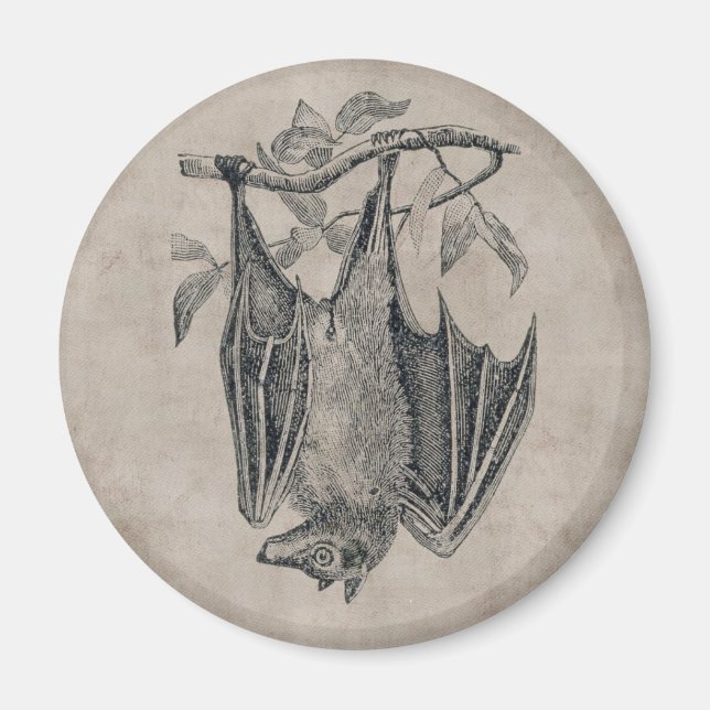 Vintage Bat Magnet (Front)