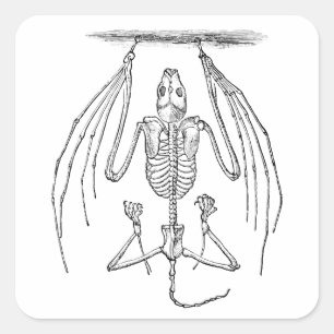 Vintage Bat Skeleton - Bats and Halloween Template Square Sticker