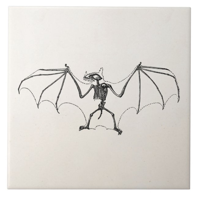 Vintage Bat Skeleton Personalised Halloween Bats Tile (Front)