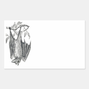 Vintage Bat Sticker