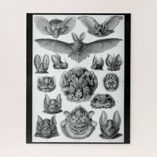 Vintage bats by Ernest Haeckel 525 piece puzzle