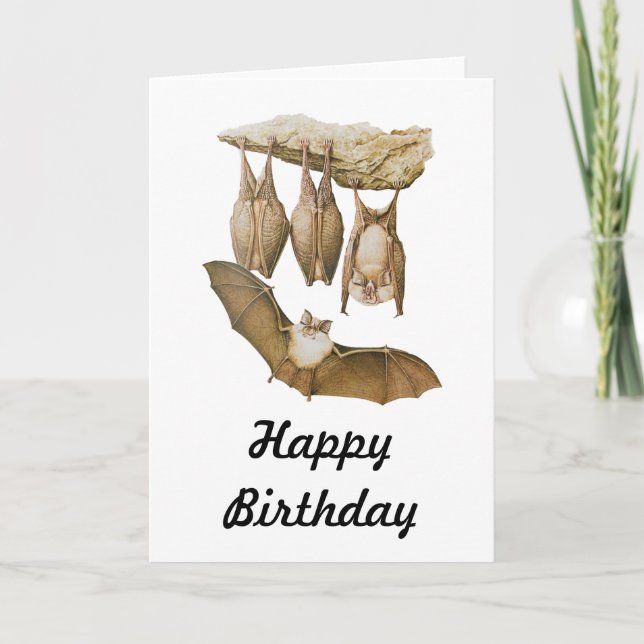 Vintage Bats Illustration, Animal Drawing Card (Front)