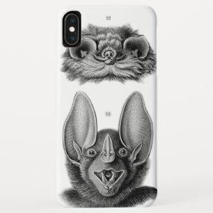 Vintage Bats iPhone Barely There Case for Vampires