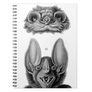 Vintage Bats Notebook for Vampires