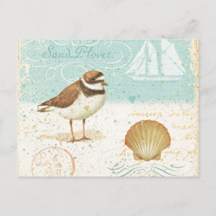 Vintage Beach Scene Postcard