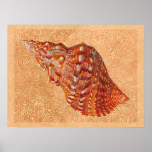Vintage Beach Seashell Poster