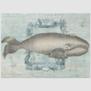 Vintage Beach Whale Starfish Blue Wood Decoupage Tissue Paper