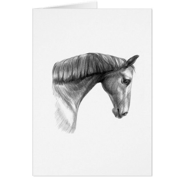 Vintage Beautiful Dark Horse (Front)