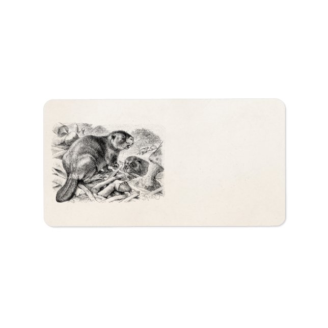 Vintage Beaver Illustration Retro Beavers and Dam Label (Front)