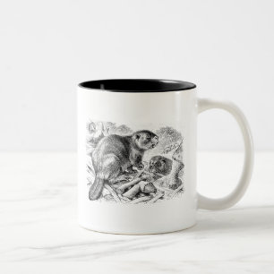 Vintage Beaver Illustration Retro Beavers and Dam Two-Tone Coffee Mug