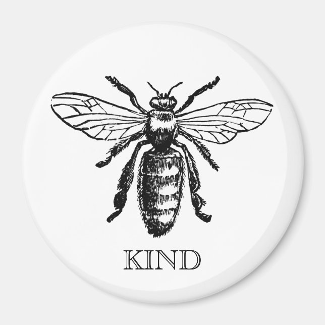 Vintage Bee Be Kind Magnet (Front)