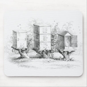 Vintage Bee Boxes Honey Mouse Mat