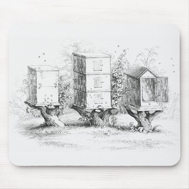 Vintage Bee Boxes Honey Mouse Mat (Front)