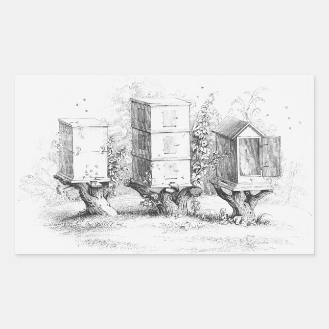 Vintage Bee Boxes Honey Rectangular Sticker (Front)