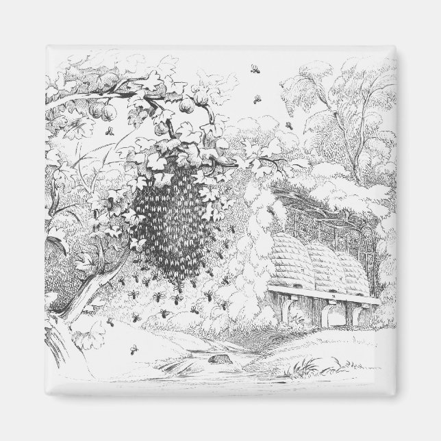 Vintage Bee Hives Magnet (Front)