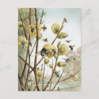 Vintage Bee Illustration