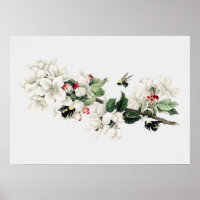 Vintage Bee Illustration