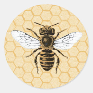 Vintage Bee on Honeycomb Classic Round Sticker