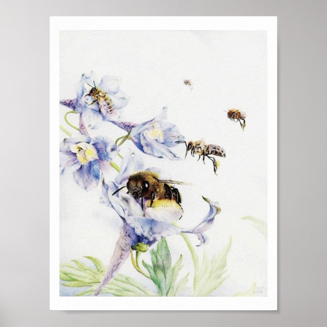 Vintage Bee Print (Front)