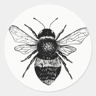 Vintage Bee Sticker Collection