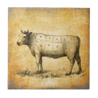 vintage beef chart with numbered cuts