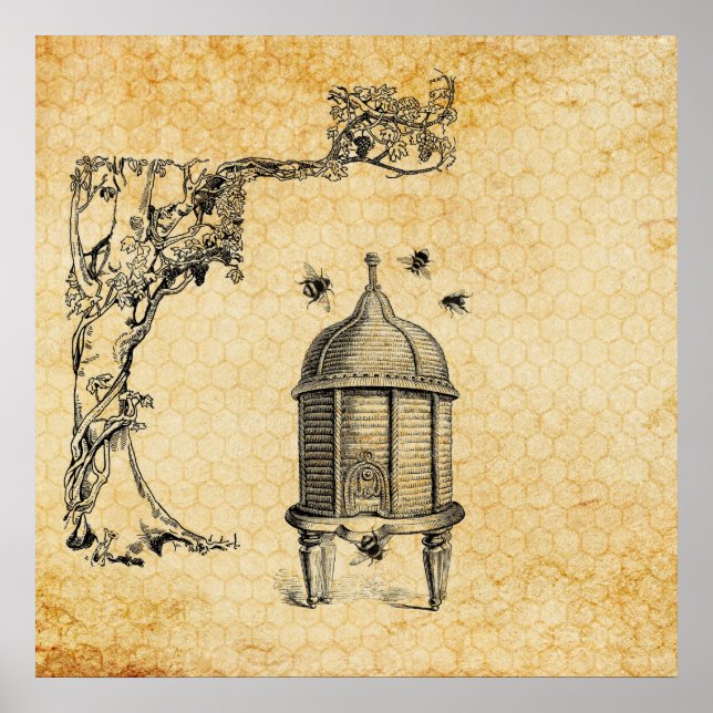 Vintage Beehive. Poster (Front)