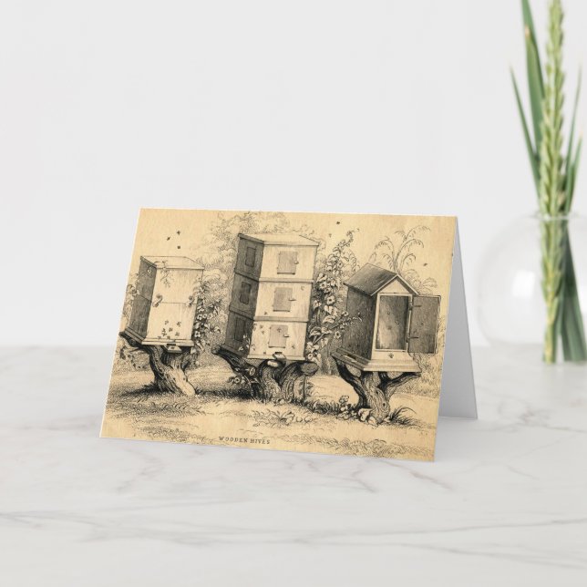 Vintage Beekeeping Beehives Beehive Card (Front)