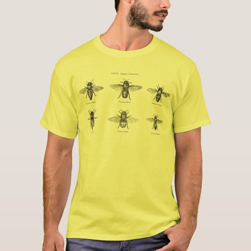 Vintage Bees Bee Honey Scientific Illustration T-shirt