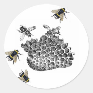Vintage Bees Classic Round Sticker