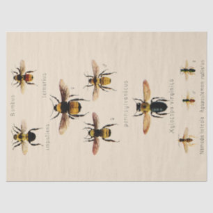 Vintage Bees Tissue Paper