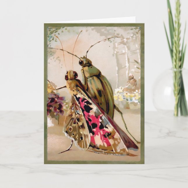 Vintage Beetle and Butterfly Customisable Card (Front)