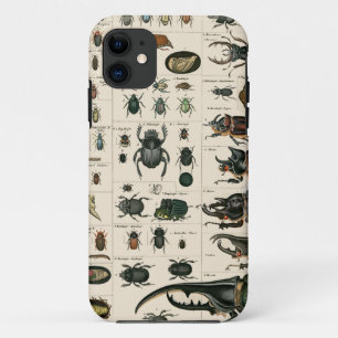 Vintage Beetle Illustration iPhone 11 Case