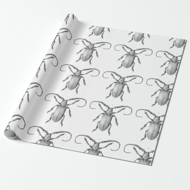 Vintage beetle illustration gift paper (Unrolled)