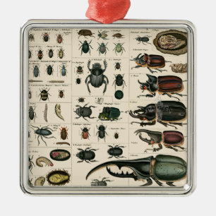 Vintage Beetle Illustration Metal Tree Decoration