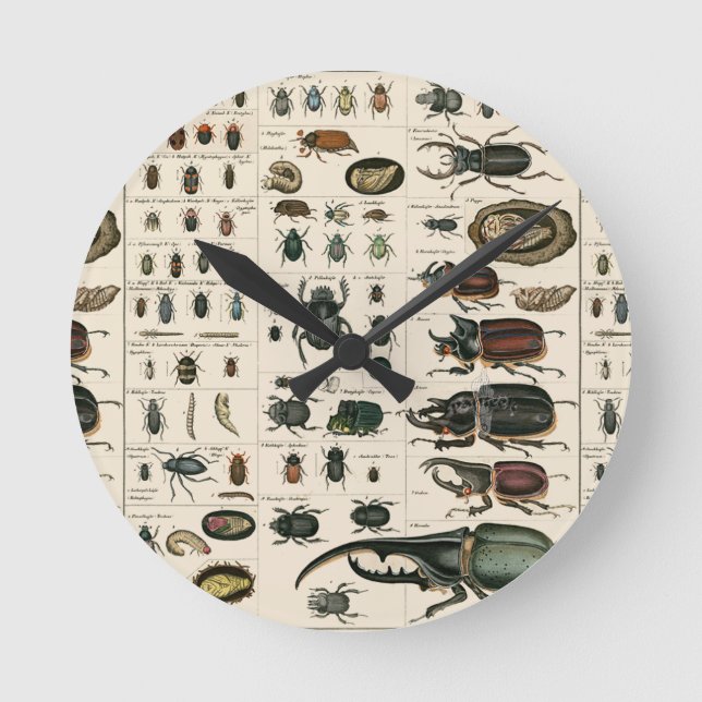 Vintage Beetle Illustration Round Clock (Front)