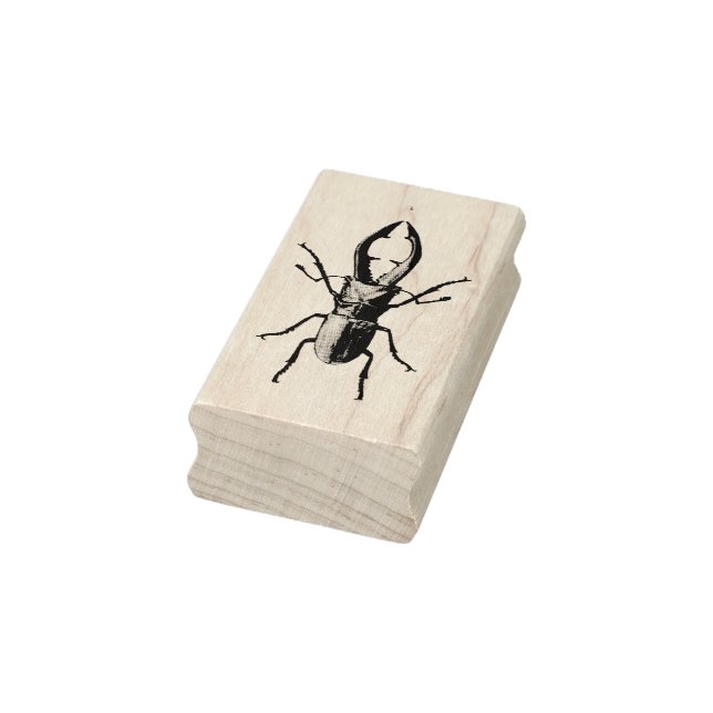 Vintage beetle illustration rubber stamp (Stamp)