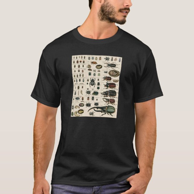 Vintage Beetle Illustration T-Shirt (Front)