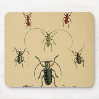 Vintage Beetle Mousepad