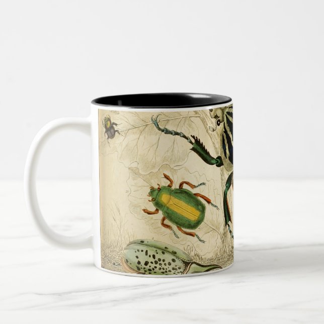 Vintage Beetles Illustration Two-Tone Coffee Mug (Left)