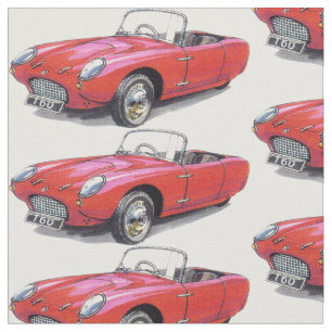 vintage Berkeley T60 car fabric
