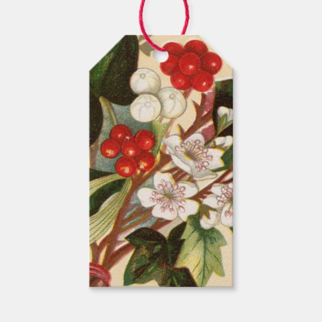 Vintage  Berry Holiday Holly Mistletoe Gift Tag (Front)