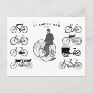 Vintage Bicycles est. 1880 Postcard