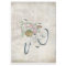 Vintage bicycles with roses basket