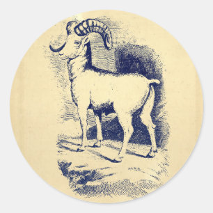 VINTAGE BIG HORN SHEEP CLASSIC ROUND STICKER