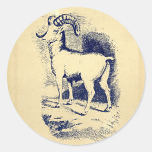 VINTAGE BIG HORN SHEEP CLASSIC ROUND STICKER